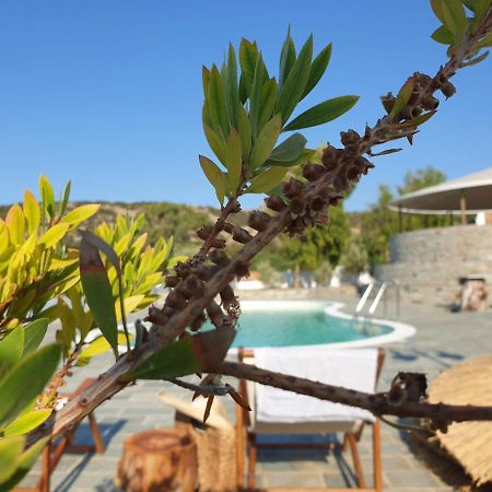 Anassa Cycladic Village 갈리사스 외부 사진