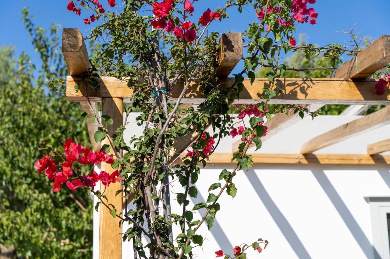 Anassa Cycladic Village 갈리사스 외부 사진